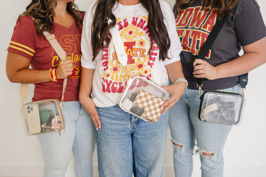 Clearly Clutch - Chickadees Wooden Toys