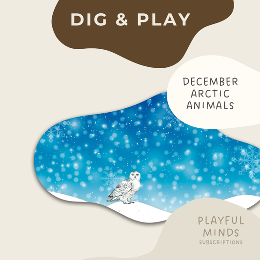 Dig and Play - Early Learning Subscription Box