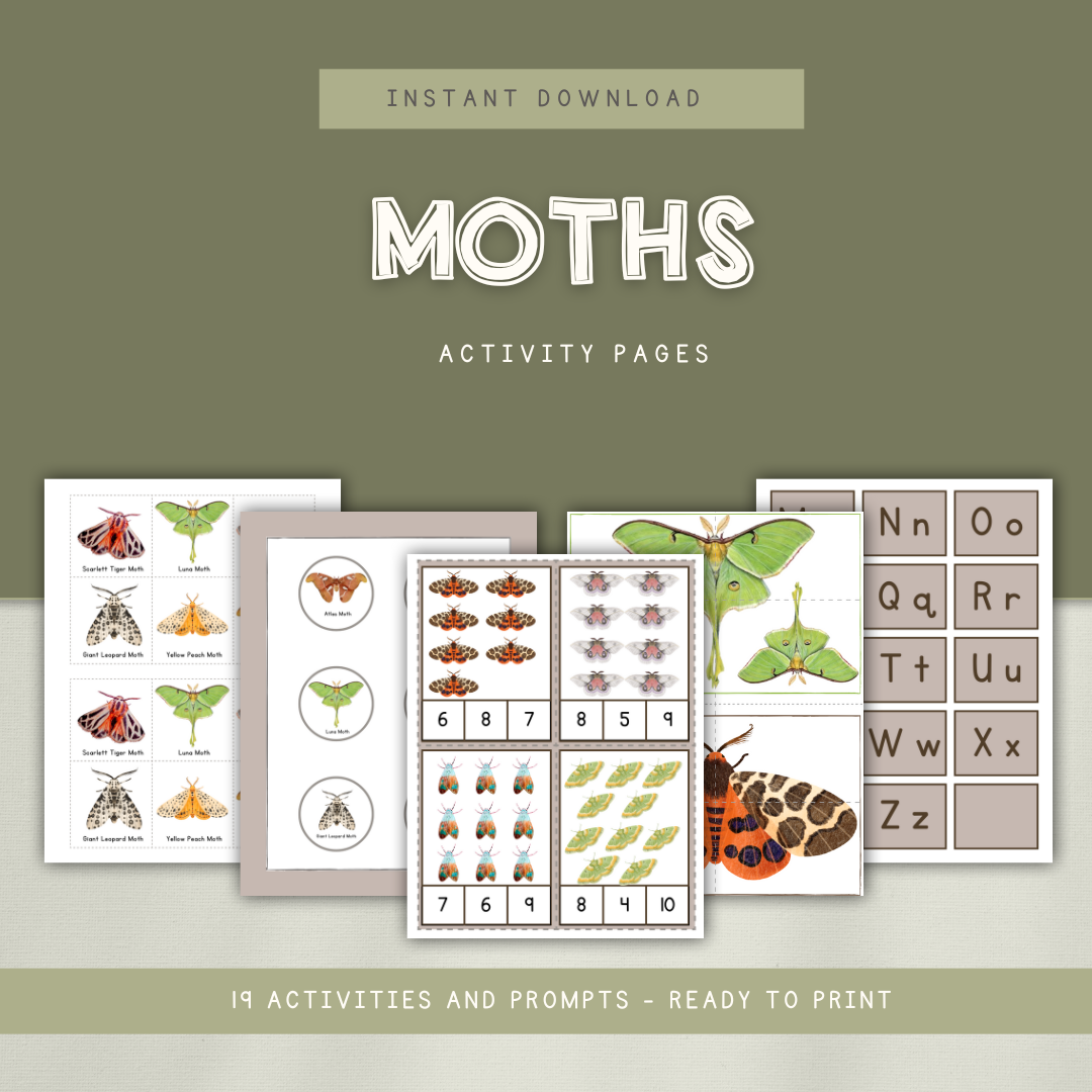 Moths Preschool Activity Pages - Chickadees Wooden Toys