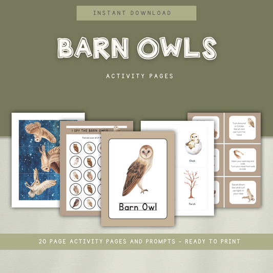 Barn Owls - Preschool Activity Pages