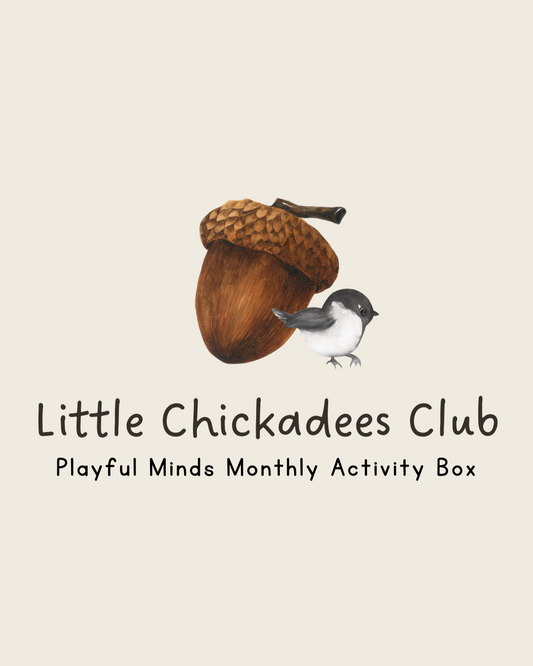 Playful Minds Activity Box - 2024