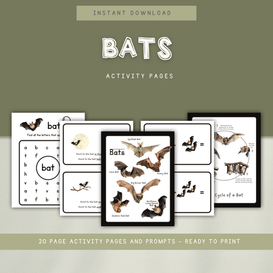 Bats - Preschool Activity Pages - Chickadees Wooden Toys