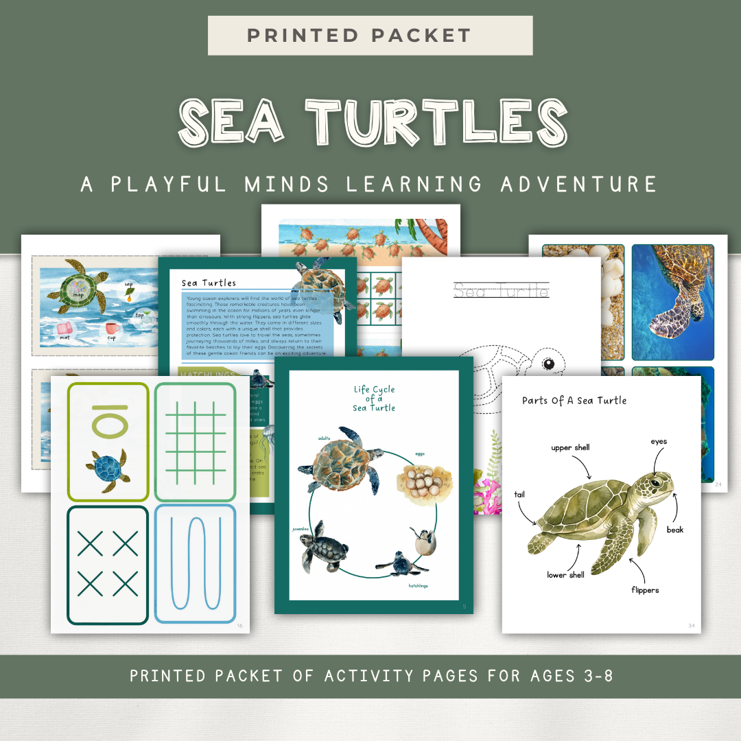Sea Turtles Activity Bundle - Printed Packet