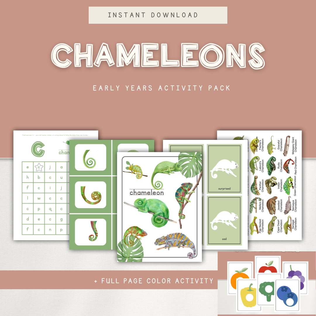 Chameleons - Preschool Activity Pages