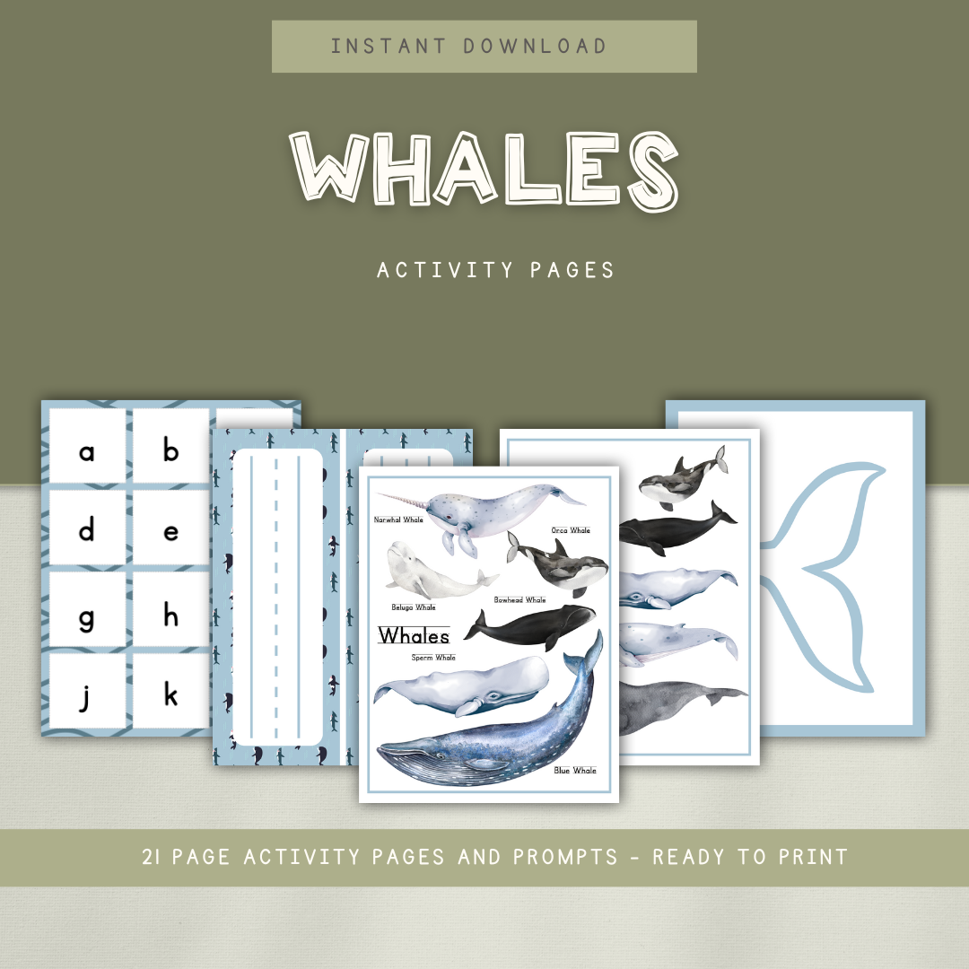 Whales Preschool Activity Pages - Chickadees Wooden Toys