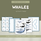 Whales Preschool Activity Pages
