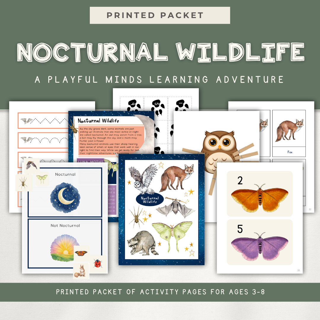 Printed Learning Adventure Bundle - Early Learning Subscription 2026