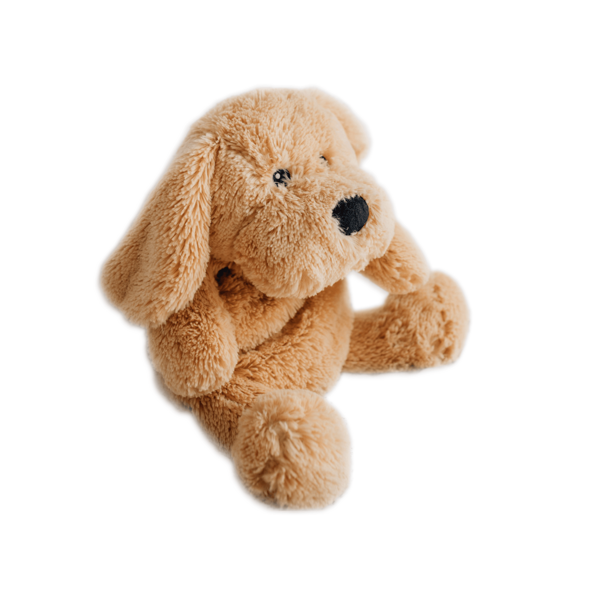 Charlie The Weighted Puppy Dog - Chickadees Wooden Toys