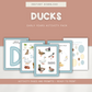 Ducks - Preschool Activity Pages