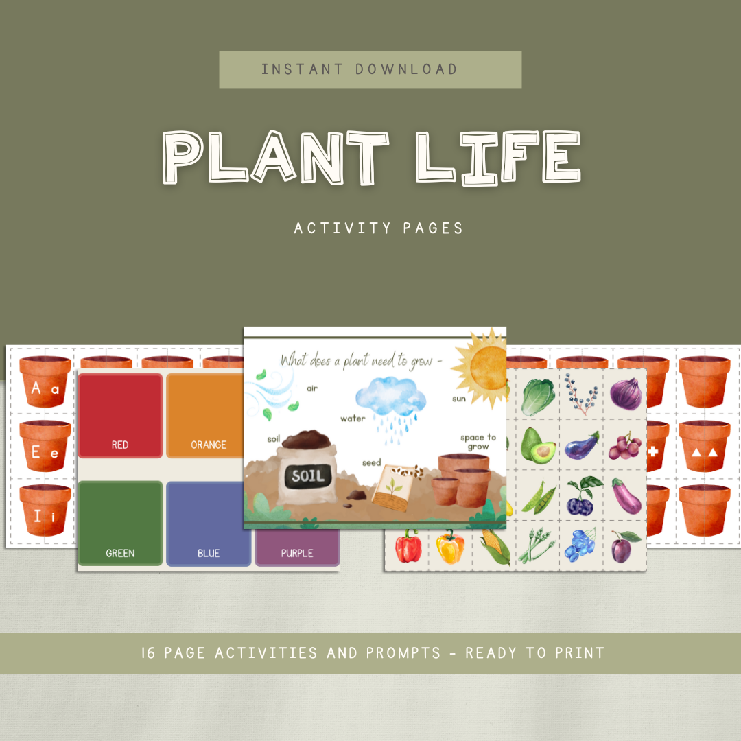 Plant Life Preschool Activity Pages - Chickadees Wooden Toys