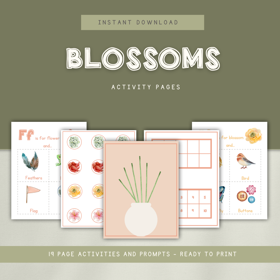 Blossoms Preschool Activity Pages - Chickadees Wooden Toys