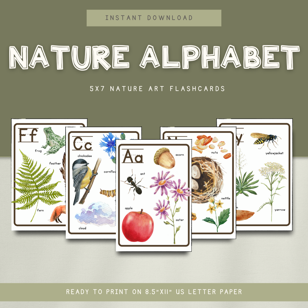 Nature Alphabet Flashcards - DIGITAL DOWNLOAD - Chickadees Wooden Toys