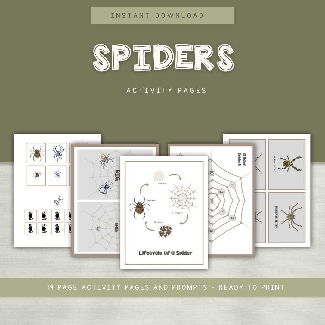 Spider Activity Pages