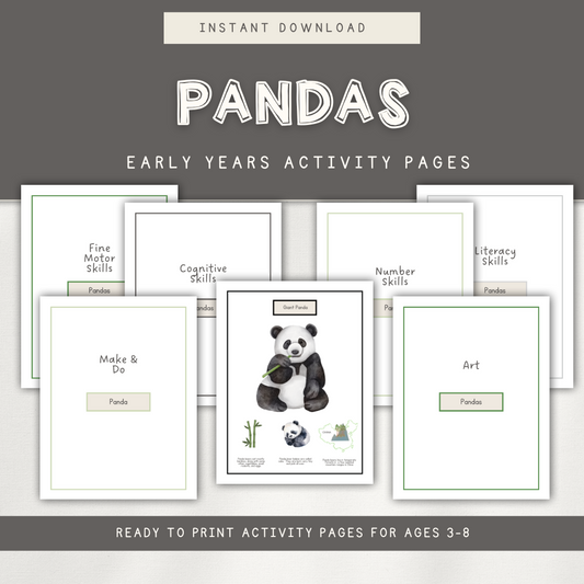 Panda Themed Activity Pages - Digital Download