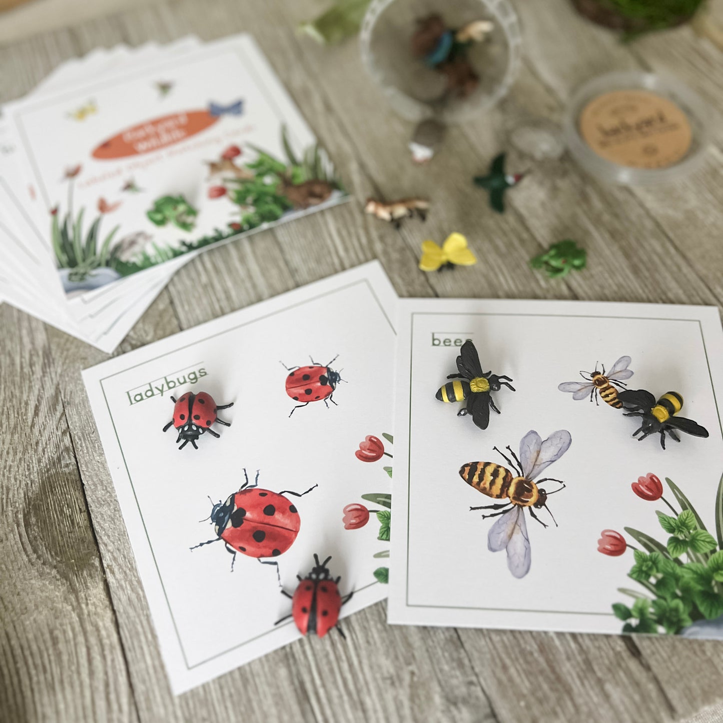 Backyard Wildlife Matching - Cards & Mini Figures