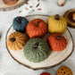 Crocheted Autumn Pumpkins