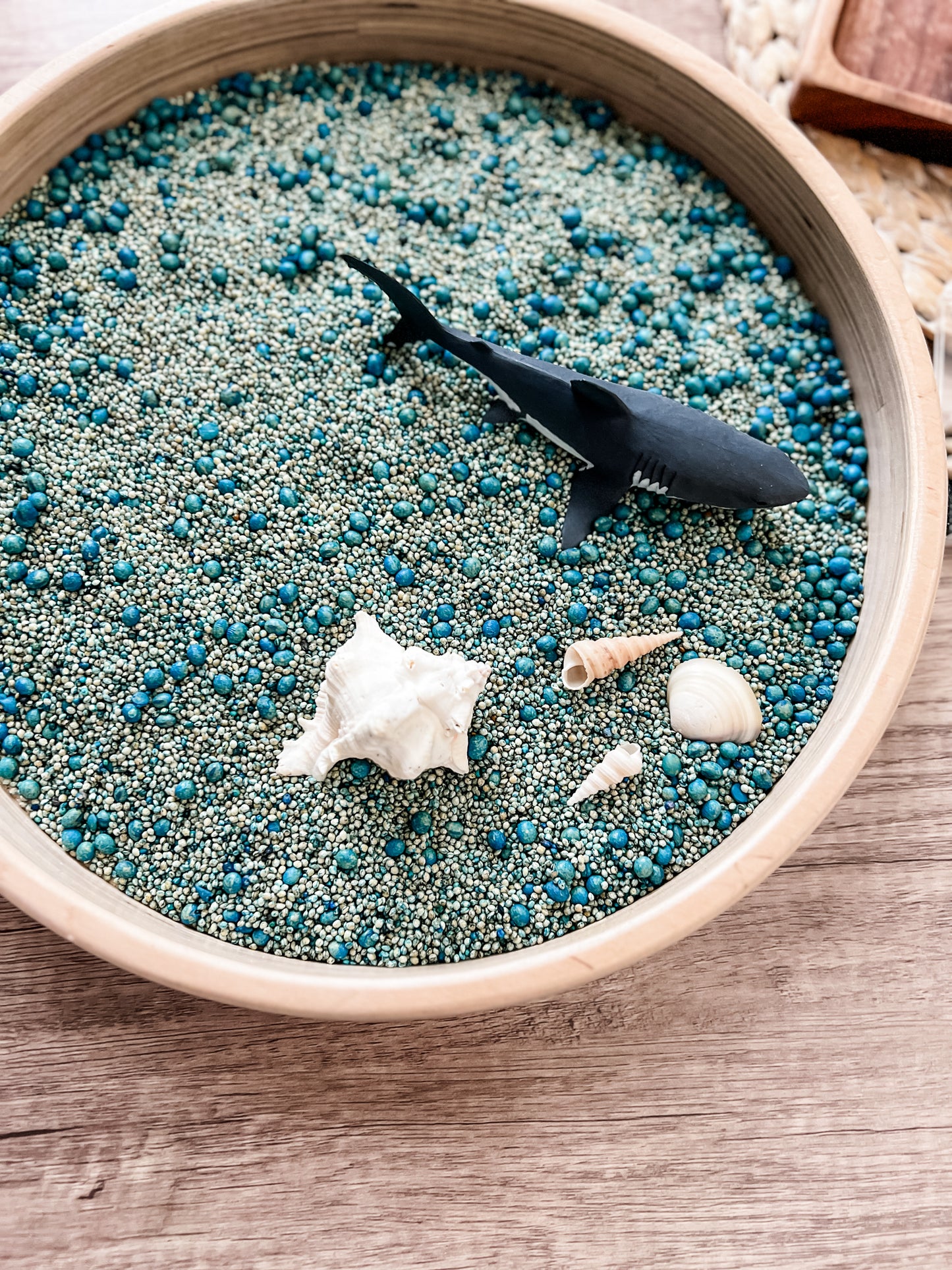 Sharks Sensory Play Mini