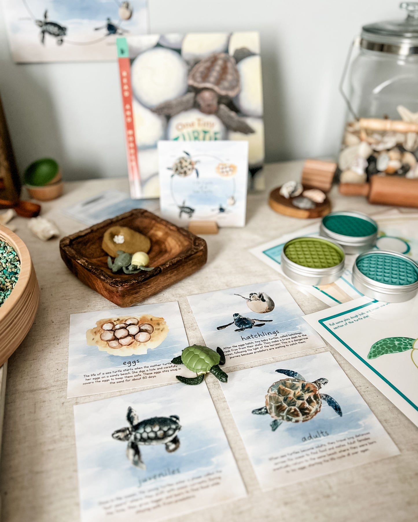 Read And Play - Early Learning Subscription Box 2026