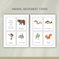 Animal Homes Preschool Activity Pages