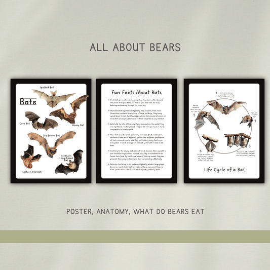 Bats - Preschool Activity Pages