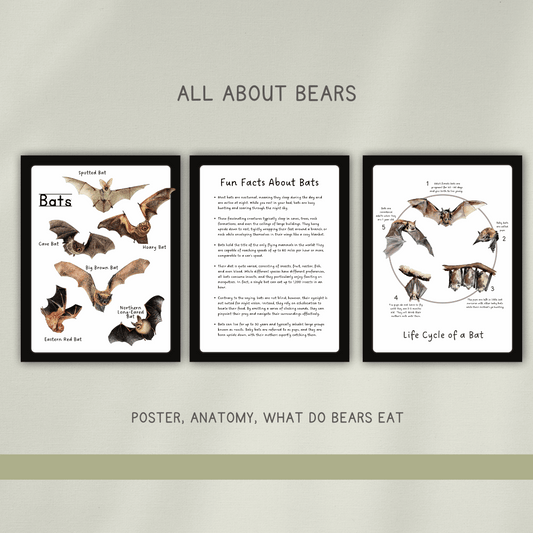 Bats - Preschool Activity Pages - Chickadees Wooden Toys