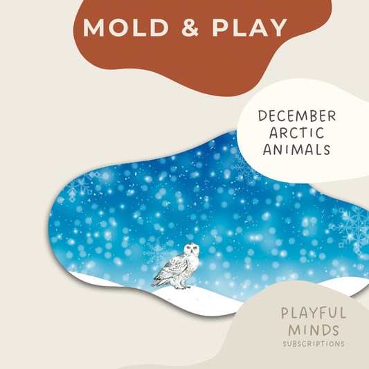Mold and Play - Early Learning Subscription Box
