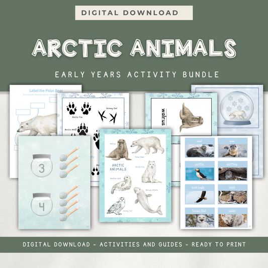 Arctic Themed Activity Pages - Digital Download