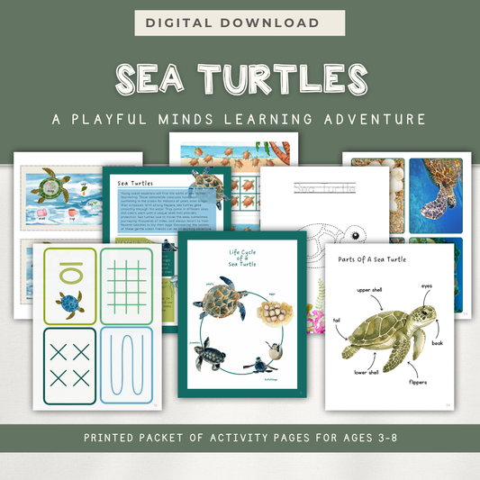 Sea Turtles - Activity Bundle for ages 3-8 - Digital Download