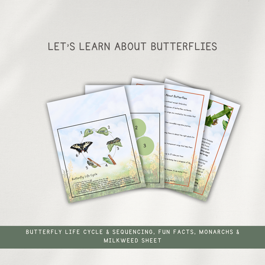 Butterfly Themed Activity Pages - Digital Download - Chickadees Wooden Toys