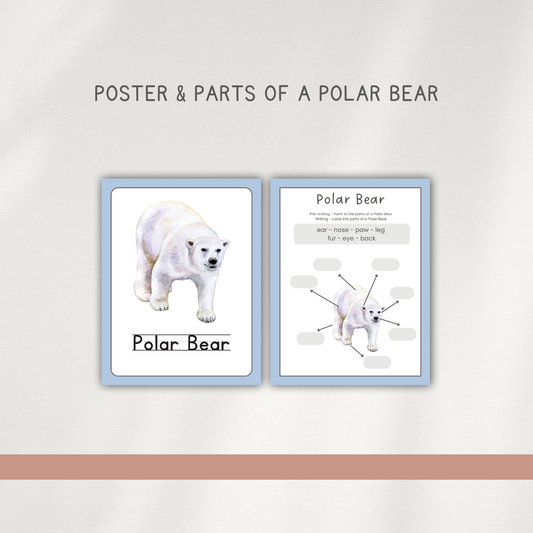 Polar Bear - Preschool Activity Pages - Chickadees Wooden Toys