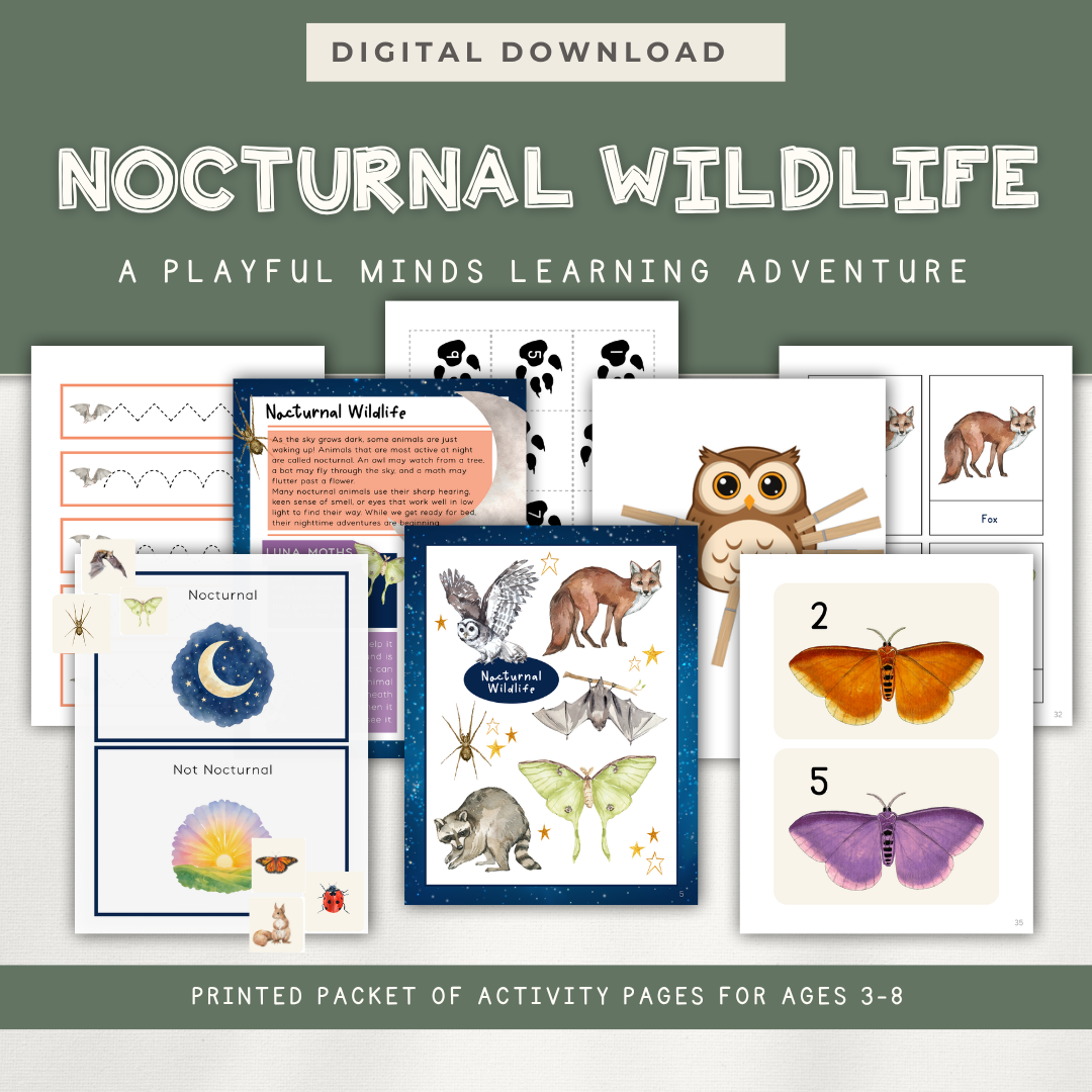 Printed Learning Adventure Bundle - Early Learning Subscription 2026