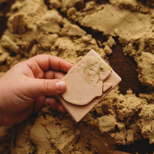 Dinosaur Footprints - Eco Stamp Set - Chickadees Wooden Toys