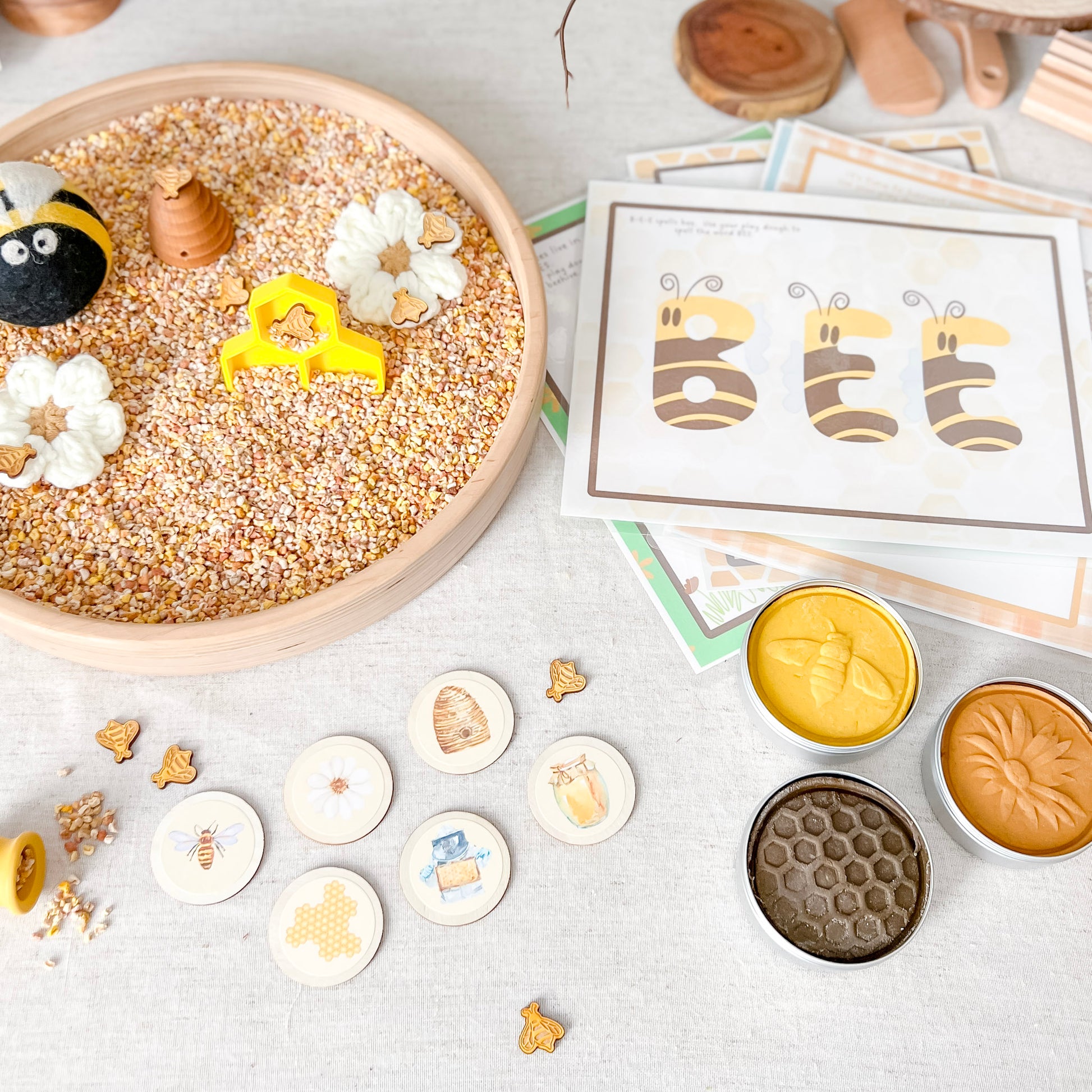 Mold and Play - Early Learning Subscription Box 2026 - Chickadees Wooden Toys