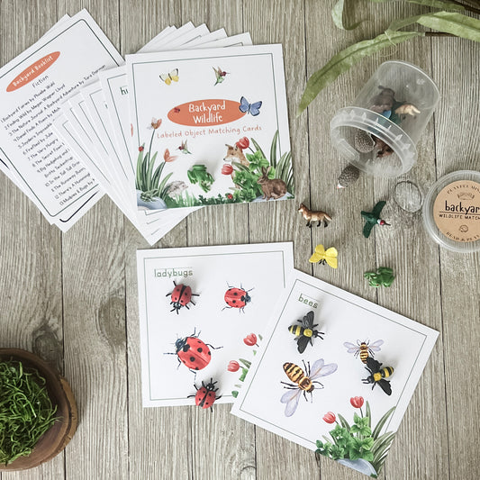 Backyard Wildlife Matching - Cards & Mini Figures