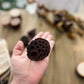 Natural Dried Lotus Pods