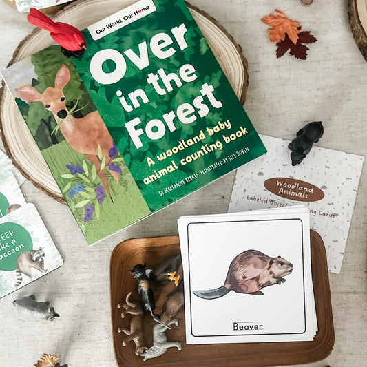 Woodland Animal Matching - Cards and Figures