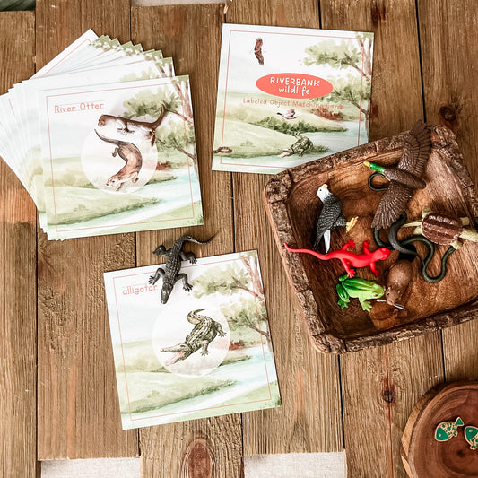 Riverbank Wildlife Matching - Cards and Figures
