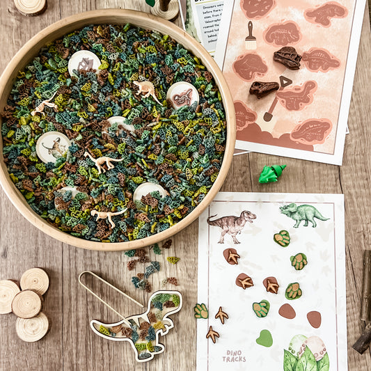 Dinosaur Dig & Play
