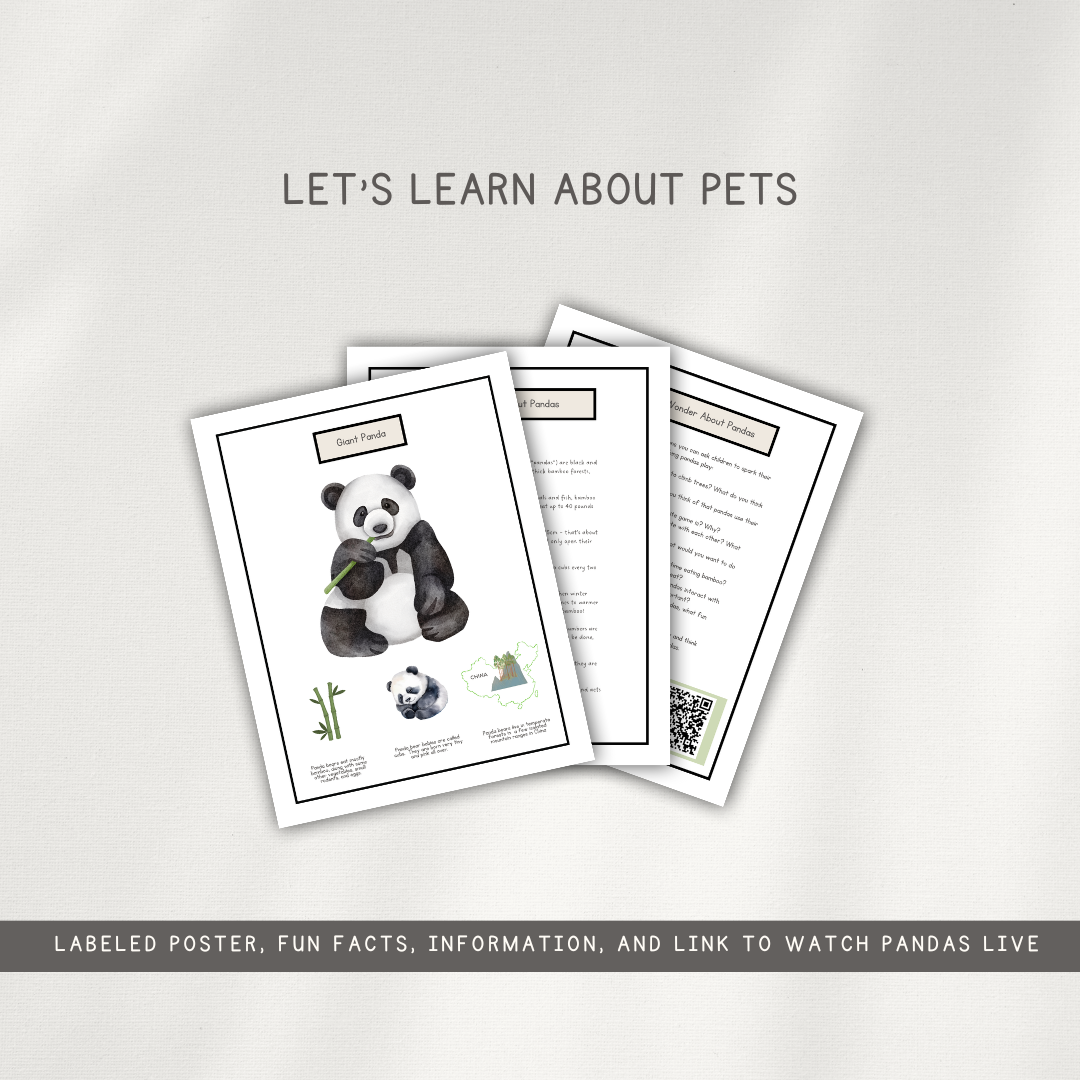 Panda Themed Activity Pages