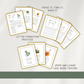 Alphabet Bundle - Beginning Sounds, Letter Formation, and Handwriting