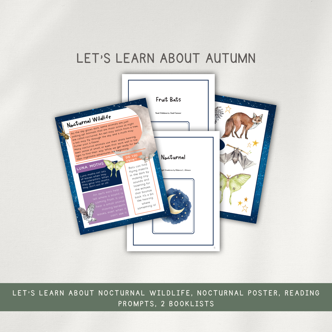 Printed Learning Adventure Bundle - Early Learning Subscription 2026