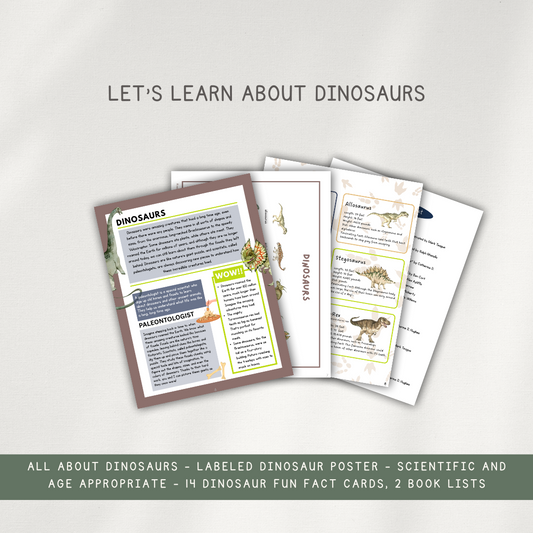 Dinosaurs Activity Pages - Printed Packet - Chickadees Wooden Toys