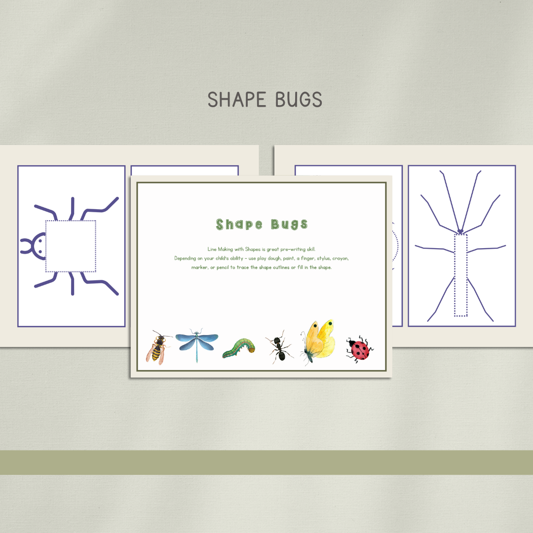 Bugs Preschool Activity Pages - Chickadees Wooden Toys