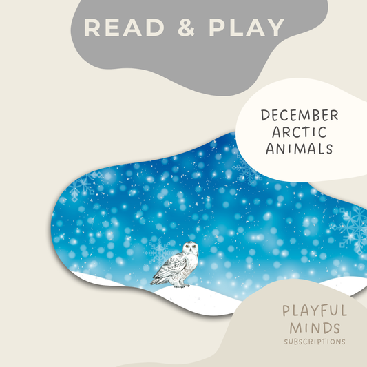 Read And Play - Early Learning Subscription Box