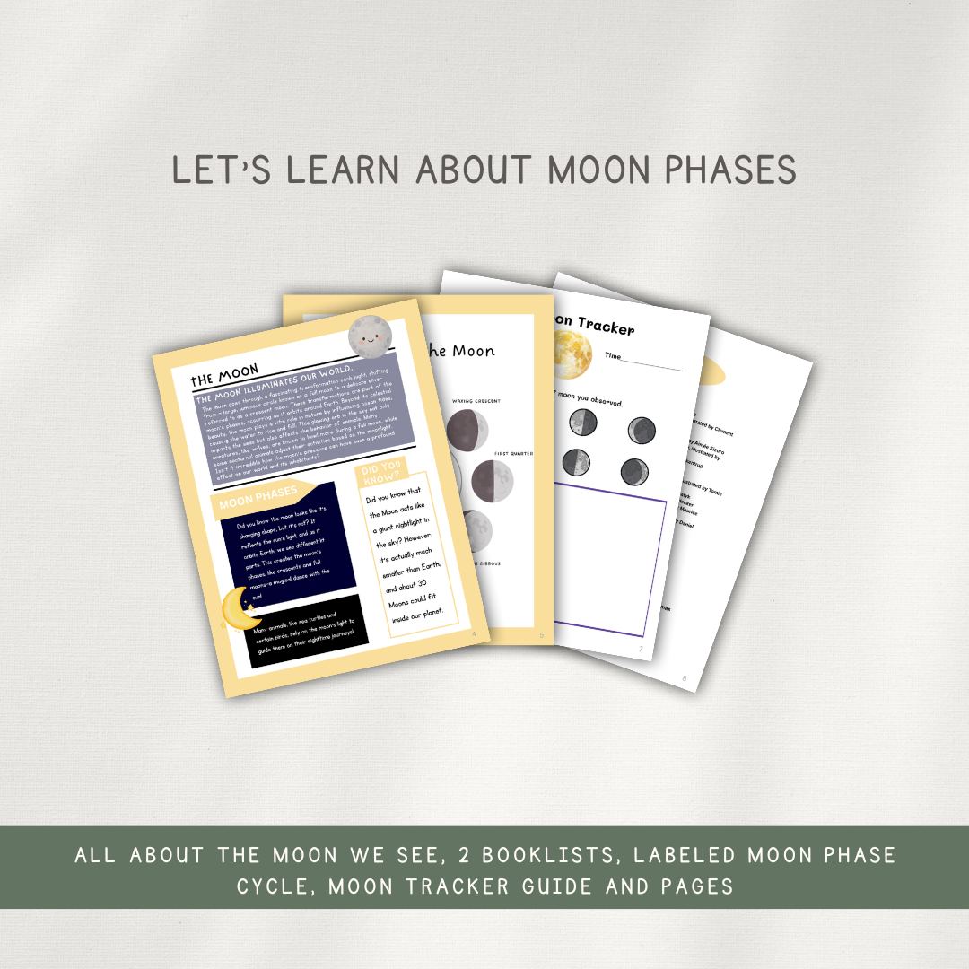 Printed Activity Pages - Early Learning Subscription 2026 - Chickadees Wooden Toys