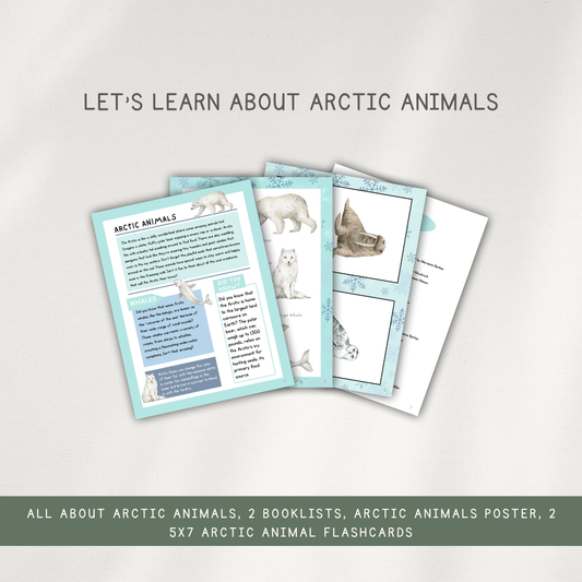 Arctic Themed Activity Pages - Digital Download - Chickadees Wooden Toys