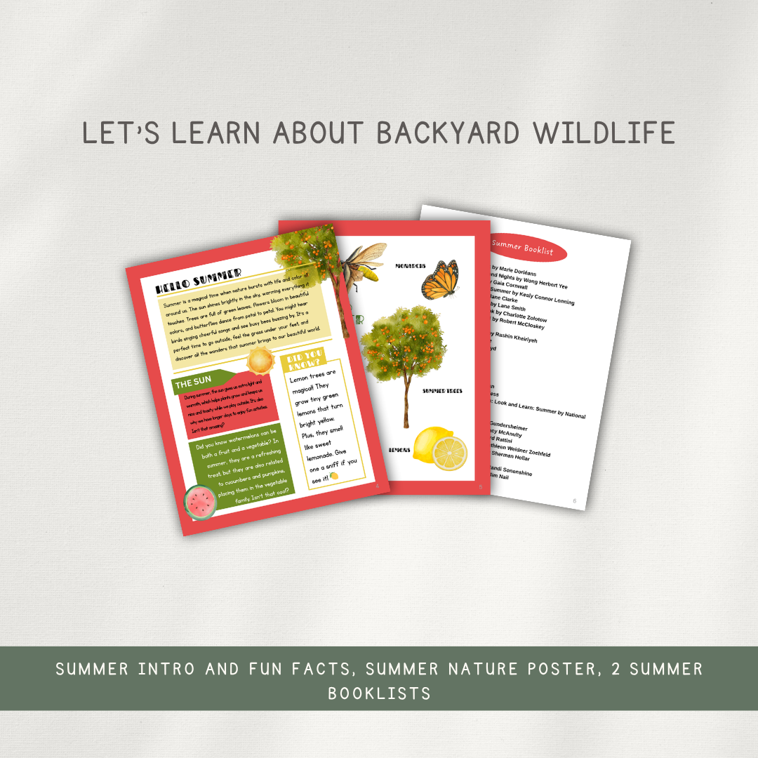 Read And Play - Early Learning Subscription Box 2026