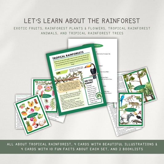 Tropical Rainforest Activity Pages - Printed Packet - Chickadees Wooden Toys