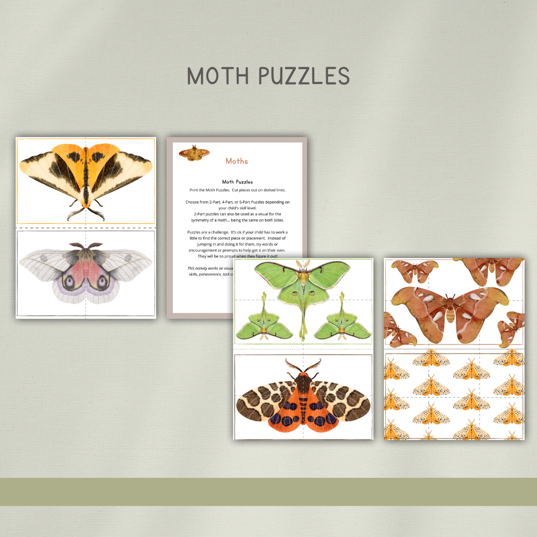 Moths Preschool Activity Pages - Chickadees Wooden Toys