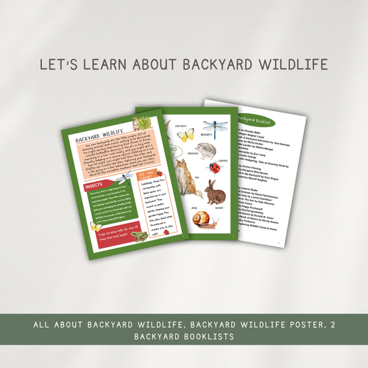 Backyard Wildlife Activity Bundle - Digital Download - Chickadees Wooden Toys